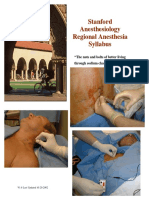 Stanford Department of Anesthesiology Regional Anesthesia Syllabus Introduction (PDFDrive)