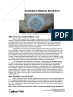 6.2 Other Decomposers Reading: Bread Mold: Where and How Do Bread Molds Live?