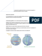 Sociales 5º Primaria - Globo Terraqueo y Los Mapas