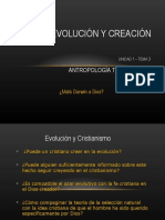 Evolución y Creación