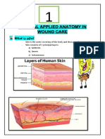 Clinical Applied Anatomy in Wound Care