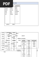 Acentuación (2) (Recuperado)