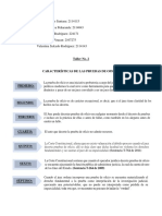 Características de Las Pruebas de Oficio Grupo 6 Curso 8a2