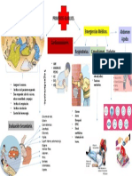 Mapa Mental Primeros Auxilios .