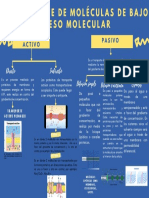 Transporte de Moléculas de Bajo Peso Molecular