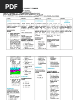 Actividades