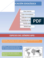 Curso de Apicultura - Apuntes Alumnos