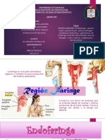 Endofaringe