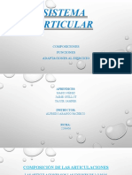 Diapositivas Sistema Articular