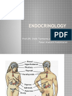 Endocrinology: Prof - DR. Didik Tamtomo, DR PAK, MM, MKK Pakar Anatomi Kedokteran