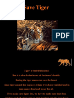 Bdcfsave Tiger