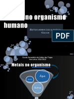 Metais No Organismo Humano 12c