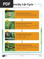 T L 51704 Butterfly Life Cycle Differentiated Reading Comprehension Activity