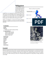 Climate of The Philippines: Rainfall Typhoons Strongest Typhoons