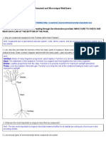 Sean Burke - Online Algae Webquest