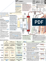 Blood Flow Q: The Transmembrane Pressure (TMP) Gradient