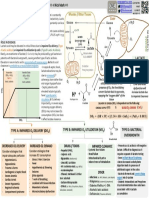 ICU One Pager Lactic Acidosis