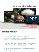 Medicinal Uses of Mushroom: Amit Prasad