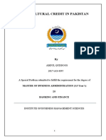 AGRICULTURAL CREDIT IN PAKISTAN Final