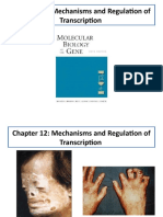 Chapter 12: Mechanisms and Regulation of Transcription