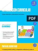 Articulacion Curricular