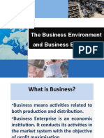 The Business Environment and Business Economics