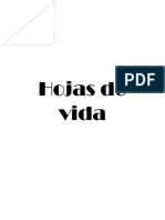 Hojas de Vida Practica Profesional II