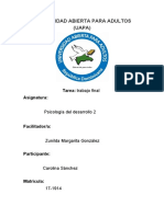 Trabajo Final de Psicologia Del Desarrollo 2 Carolina