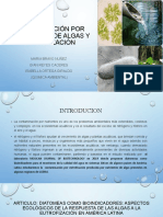 Contaminación Por Nutrientes de Algas y Eutrofización