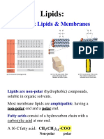 Complex Lipids & Membranes