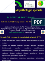 Cours de Phytopathologie Spéciale