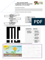4° Taller Funciones Vitales de Las Plantas