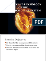 Anatomy and Physiology of The Cardiovascular System Medical Surgical Nursing