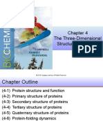 The Three-Dimensional Structure of Proteins: © 2018 Cengage Learning. All Rights Reserved