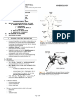 Thorax and Chest Wall