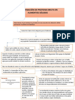 DETERMINACIÓN DE pROTEINAAS EN ALIMENTOS SÓLIDOS Mapa 5