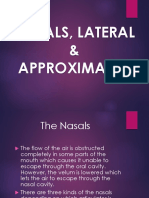 7 - Nasal, Lateral, Approximants