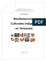 Informe Manifestaciones Indigenas 