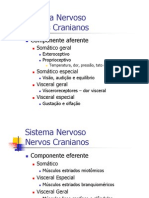 Nervos Cranianos