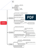 Sistema Respiratorio Anfibios