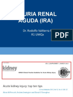 Lesion Renal