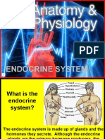 Week5 Endocrine System