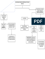 Mapa Conceptual Bovino