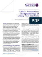 Clinical Presentations and Epidemiology of Urinary Tract Infections