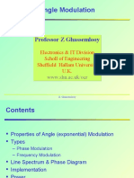 Angle Modulation: Professor Z Ghassemlooy