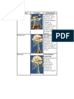 Matriz Y Imágenes de Biotk Fanny