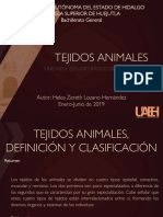 Helea TejidosAnimales