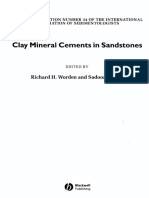 Clay Mineral Cements in Sandstones