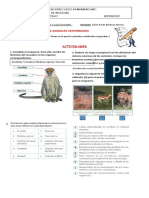 Bilogia, Taller Del Sistema Nervioso