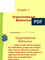 Chapter 1-What Is Organizational Behaviour